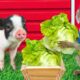 KiKi Monkey go to harvest vegetables with cutest Piglet and play pringles machine |KUDO ANIMAL KIKI