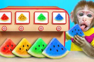 KiKi Monkey taste Colorful Watermelon Ice Cream Machine and play with Ducklings | KUDO ANIMAL KIKI
