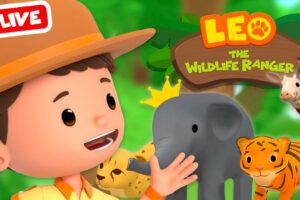 🔴 LIVE Leo The Wildlife Ranger | Best Animals, Ocean and Jungle Rescues! | Kids Cartoons