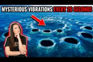 Most Bizarre Discoveries Found In The Water!