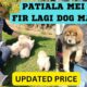 PATIALA DOG MARKET | BEST PUPPIES IN NEW RATES #patiala