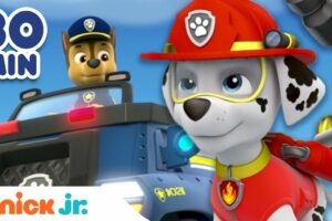 PAW Patrol | 30 Mins of Adventure Bay Rescues! | Nick Jr.