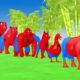 Paint Animals Spider Man Chicken Goad Cow Gorilla Tiger Dinosaur Elephant Fountain Crossing Animals