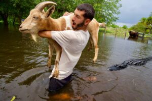 RESCUED! SAVING MY ANIMALS FROM DROWING IN A FLOOD!!