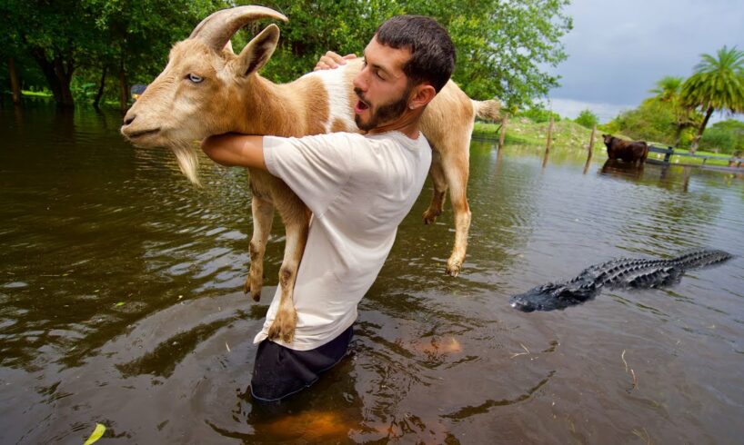 RESCUED! SAVING MY ANIMALS FROM DROWING IN A FLOOD!!