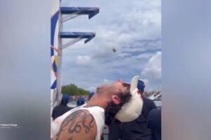 RESPECT VIDEO 💯 amazing | All Shorts Videos 😎