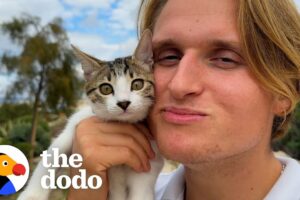 Rescued Kitten Pulls Dad Along On Hikes | The Dodo