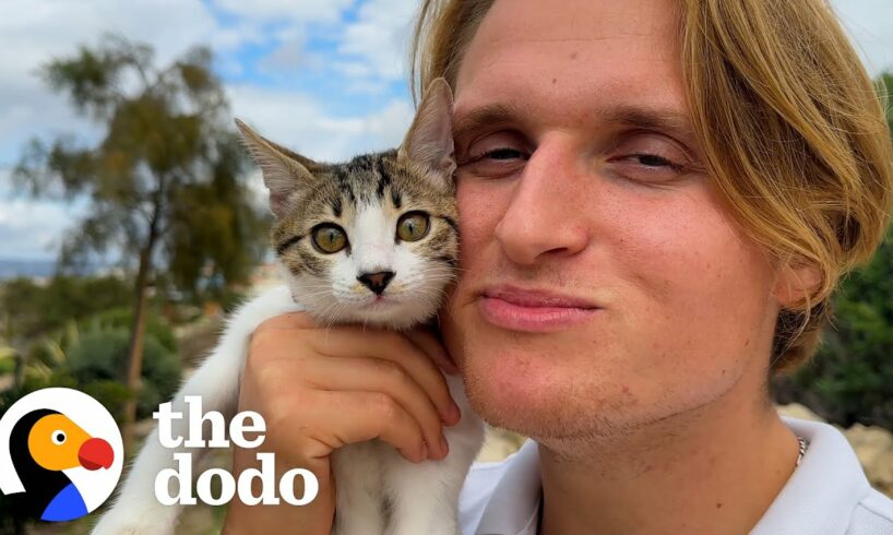Rescued Kitten Pulls Dad Along On Hikes | The Dodo