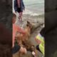 Sea Lion Rescue 🛟❤️