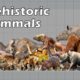 Size Comparison of Animals: the Prehistoric Mammals