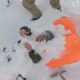 Snowboarders rescue two people buried in avalanche | ABC News