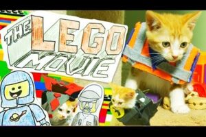 The LEGO Movie (Cute Kitten Version)