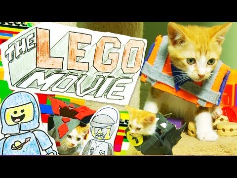 The LEGO Movie (Cute Kitten Version)