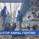 The Push to End Animal Fighting