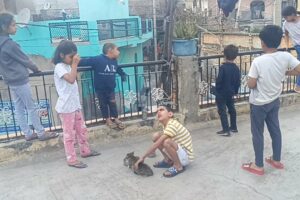 Today all the children went with me to feed the cat | #cat #cats #kitten @KittenLady