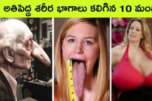 Top 10 Most Amazing Talented people | facts in telugu | bmc facts | Telugu facts | interesting facts
