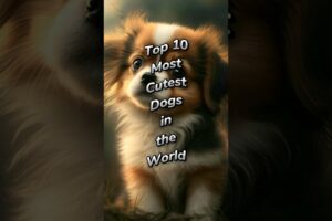 Top 10 Most Cutest Dogs in the World 🤔🌏 #shorts #top10 #top10cutestdogs