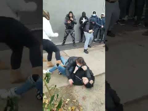 Toronto school fight