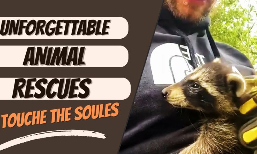 Unforgettable Animal Rescues! That Touch The Soul! #fyp #viral