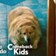 Watch What Happens When This Dog Loses 100 Pounds! | The Dodo Comeback Kids