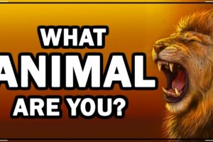 What ANIMAL Are You? (Personality Test With Animals)