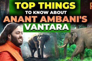 Why Anant Ambani built "Vantara", a 3,000 acre animal rescue and rehab centre?