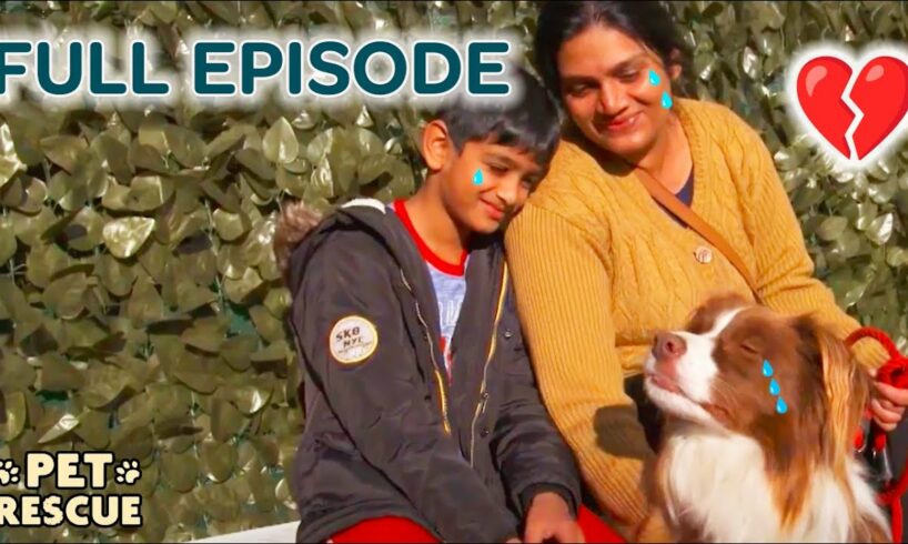 Woman Breaks Down in Tears Saying Goodbye to Family Dog | The Pet Rescuers - Season 1 Episode 7