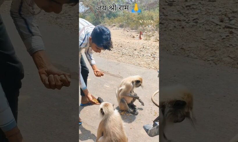#animal help🥺🙏#pls#support 😔😳#viralvideo #trending #shorts