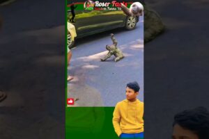 animal rescue videos shorts [ Sloths animal ] facts about sloths @Roserfacts  #shorts