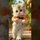 cuit cat litile cat cute puppies #cute#viral#shortfeed#terending #shortvideo