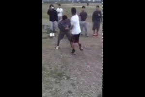 (street fights) One-on-one beat, and be eaten by a Coyote flock.