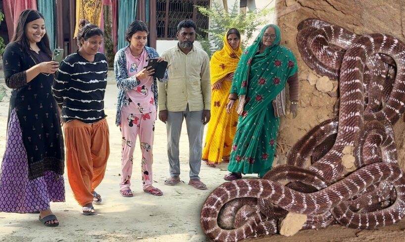 भारत का सबसे जहरीले सांपों को, एक साथ कुएं से कैसे रेस्क्यू किया गया। Snake Rescue operation in Well