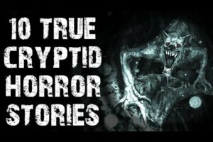 10 True Disturbing Cryptid & Skinwalker Scary Stories | Horror Stories To Fall Asleep To