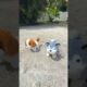 He PUMPED UP his MUSCLES to SAVE two CUTE PUPPIES 😱🐶🤣 #shorts #tiktok #short #shortsfeed #ytshorts