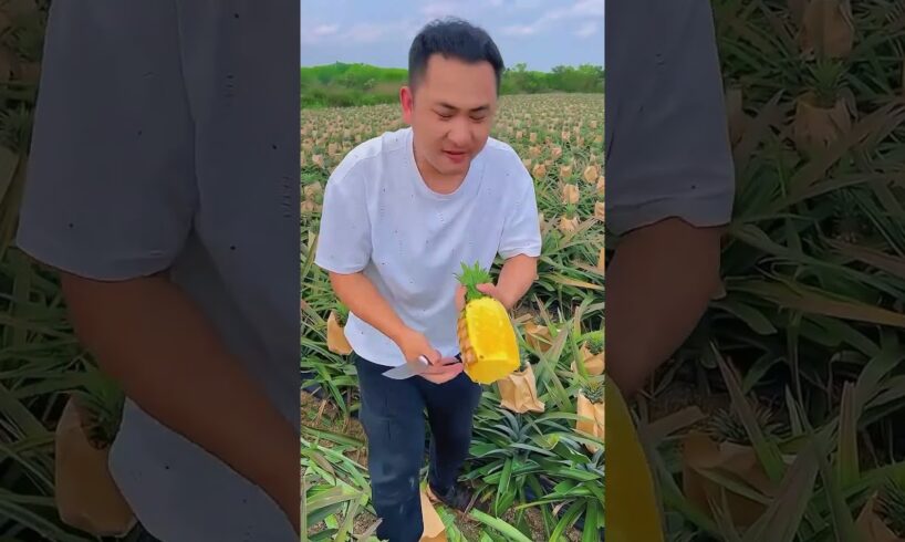 Top 100 Amazing Videos of the Year  People Are Awesome  #facebookpost #youtubeshorts #reelsinstagram