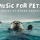2 Hours of Ocean Animals - Calming Acoustic and Classical Music for Pets