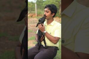 Animals are lower than us #animals #love #kindness #rescued #animalsandhumans #viral #peace #vegan