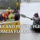 Animals rescued from Australia floods, thousands evacuated from Sydney
