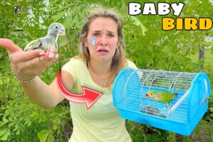 BABY BIRDS RESCUED FROM ONLINE! WHERE’D THEY COME FROM?!
