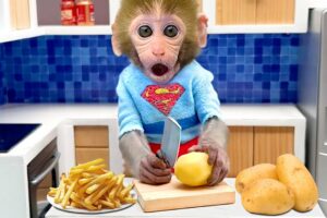 Baby Monkey Bon Bon cooking french fries and swims with the funny duckling in the water park