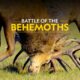 Battle of the Behemoths | Animal Fight Night | Full Episode | S3 - E3 | Nat Geo Wild