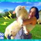 Best Friends Have To Run An Animal Sanctuary By Themselves! | Dodo Kids | Animal Videos