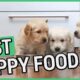 Best Puppy Food | 5 Best Food For Puppies 2021 🐶 ✅