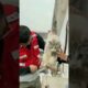 Cat trapped in tunnel 😥 Wait For the End | Cat rescue  #cat #cats #catvideos  #dogs #short #catlover