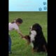 Cute Puppies 😍- Puppy & Dog Training Tips Ep.72 #shorts