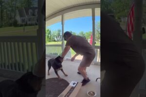 Dog becomes friends with the UPS delivery guy! 🤩❤️  -  🎥 Viralhog