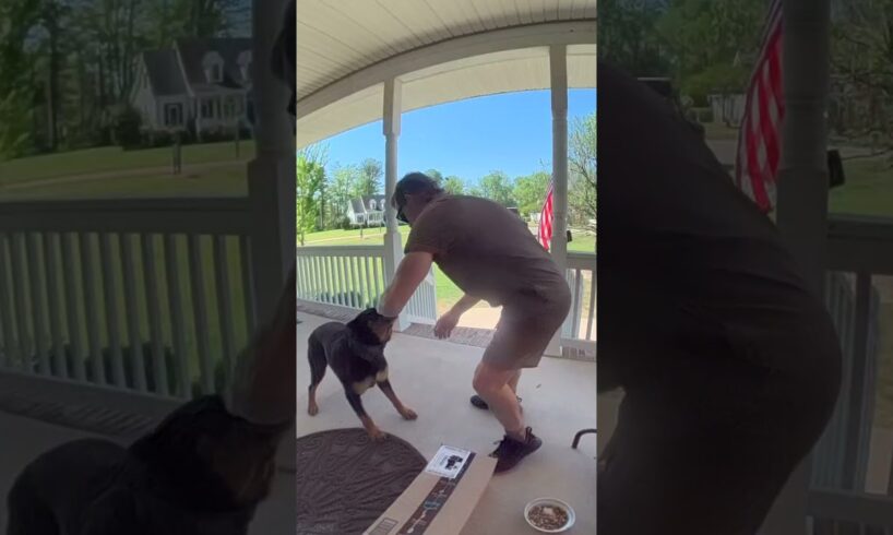 Dog becomes friends with the UPS delivery guy! 🤩❤️ - 🎥 Viralhog