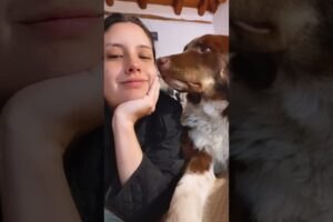 Dog gets awkward when kissed 🤣 (🎥: ViralHog)