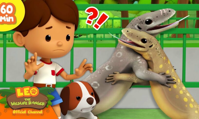 💥 EXCITING ANIMAL FIGHTS! 🥊 Reptiles, Insects & more! 🦎 | Leo the Wildlife Ranger | Kids Cartoons