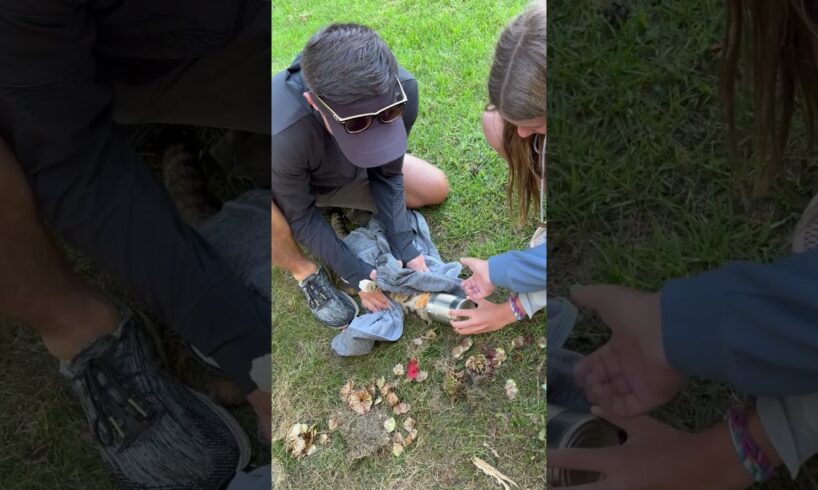 Family Rescues Cat Stuck in Can